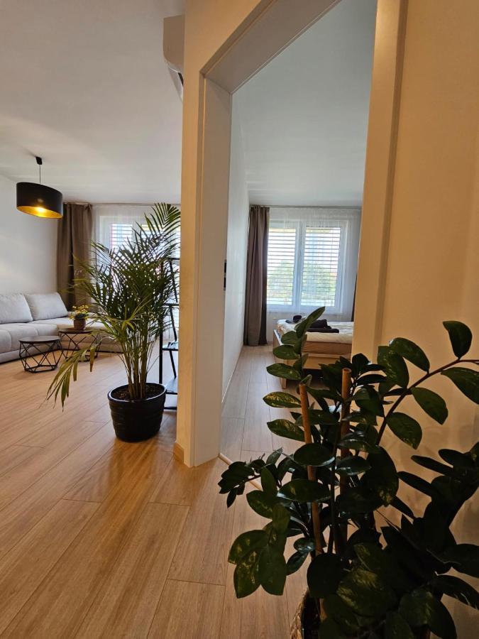 2 Apartment, New Building, Bosakova Street, 49 Apartament